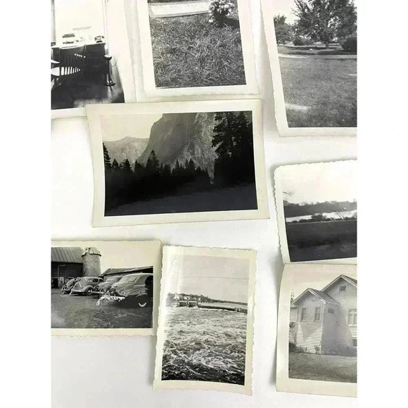 VTG 27 B&W Photographs Travel Animals Wildlife Grave Cars Farming 40's Ephemera - Picture 4 of 16